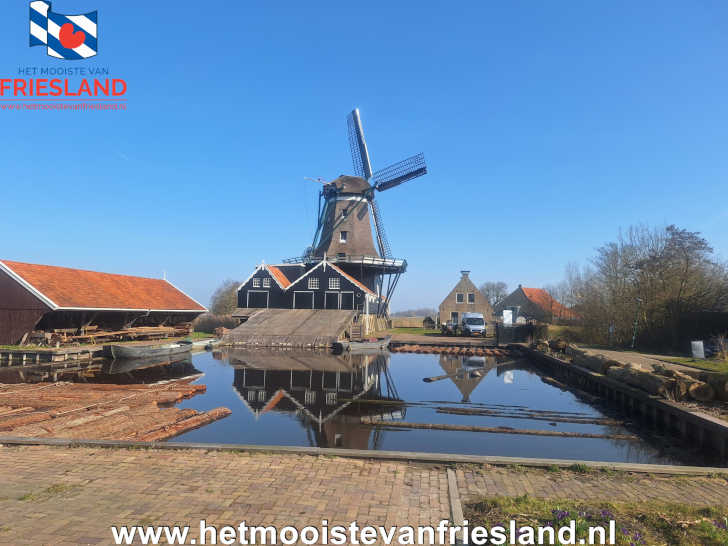 Houtzaagmolen de Rat met op de voorgrond de 'waterende' boomstammen