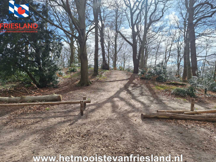 't Woutersbergje Oranjewoud