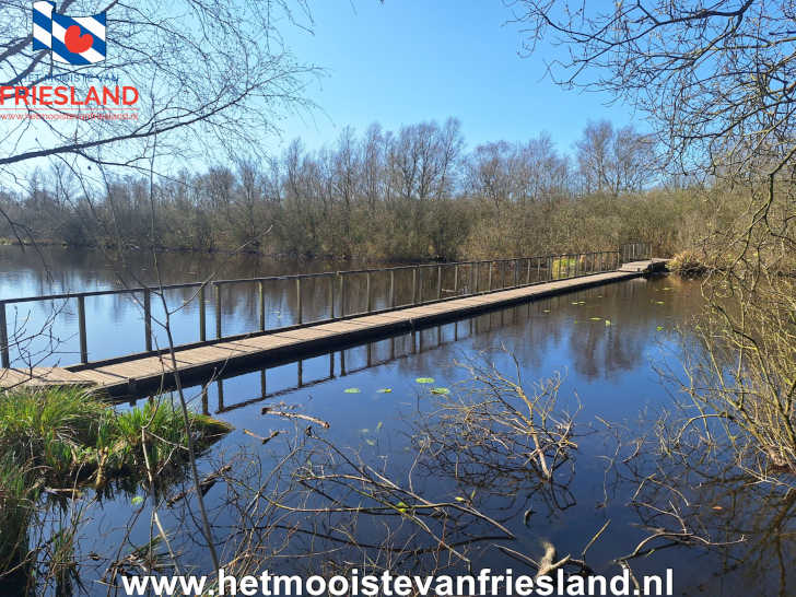 De Deelen: Uniek Natuurgebied in Friesland