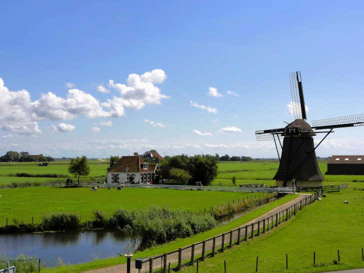 Logeren bij de boer in Friesland: een unieke vakantie-ervaring
