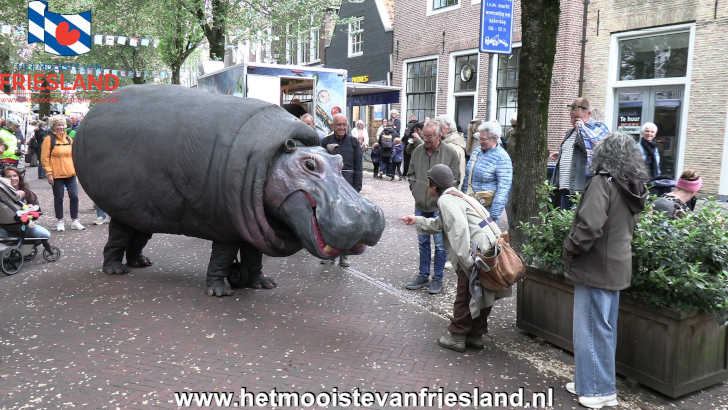 Nellie de Hippo tijdens het Straatfestival van de Feestweek Harlingen