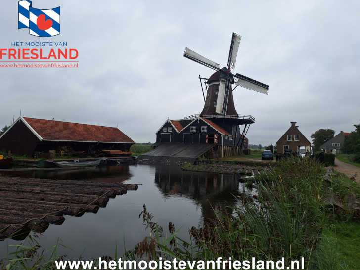 Houtzaagmolen De Rat in IJlst met boomstammen in het water
